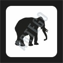 Šablona slon
